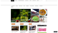 Page preview www.nyugdijban.sk/ (version of 15.4.2025)