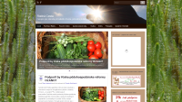 Page preview www.rodnacesta.sk/ (version of 8.3.2020)