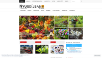 Page preview www.nyugdijban.sk/ (version of 16.8.2021)