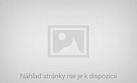 Page preview not available